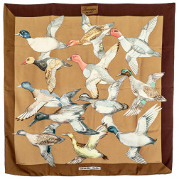 Scarf Sauvagine en Vol